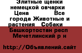 Элитные щенки немецкой овчарки › Цена ­ 30 000 - Все города Животные и растения » Собаки   . Башкортостан респ.,Мечетлинский р-н